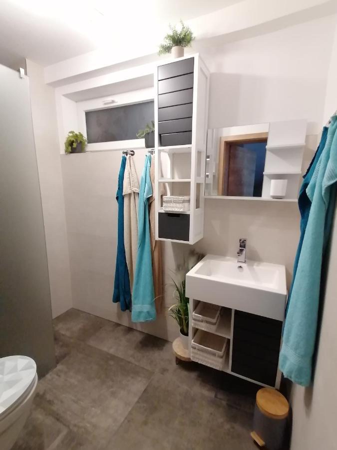 Susis Ferienwohnung Radstadt Exteriör bild